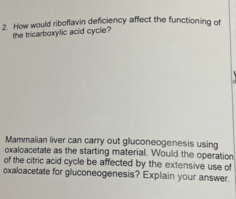 2. How would riboflavin deficiency affect the functioning of
2. How would riboflavin deficiency affect the functioning of
the tricarboxylic acid cycle?
Mammalian liver can carry out gluconeogenesis using
oxaloacetate as the starting material. Would the operation
of the citric acid cycle be affected by the extensive use of
oxaloacetate for gluconeogenesis? Explain your answer.
