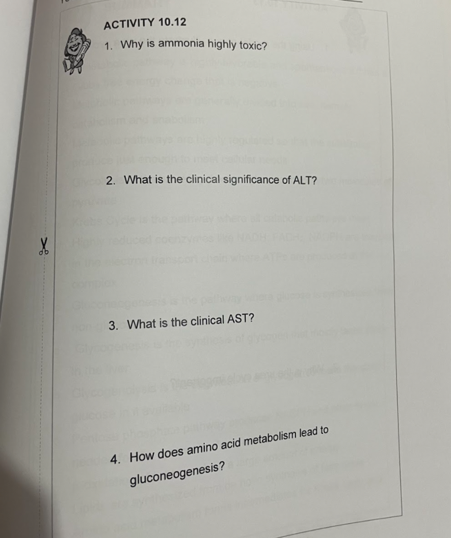 ACTIVITY 10.12
1. Why is ammonia highly toxic?
vco 2. What is the clinical significance of ALT?
3. What is the clinical AST?
4. How does amino acid metabolism lead to
gluconeogenesis?
