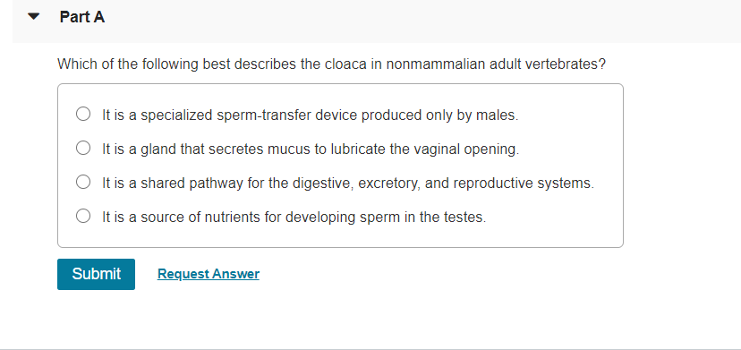 Part A
Which of the following best describes the cloaca in nonmammalian adult vertebrates?
O It is a specialized sperm-transfer device produced only by males.
O It is a gland that secretes mucus to lubricate the vaginal opening.
O It is a shared pathway for the digestive, excretory, and reproductive systems.
O It is a source of nutrients for developing sperm in the testes.
Submit
Request Answer
