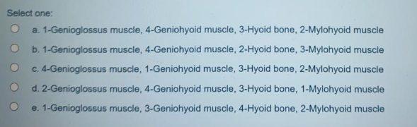 Select one:
a. 1-Genioglossus muscle, 4-Geniohyoid muscle, 3-Hyoid bone, 2-Mylohyoid muscle
b. 1-Genioglossus muscle, 4-Geniohyoid muscle, 2-Hyoid bone, 3-Mylohyoid muscle
c. 4-Genioglossus muscle, 1-Geniohyoid muscle, 3-Hyoid bone, 2-Mylohyoid muscle
d. 2-Genioglossus muscle, 4-Geniohyoid muscle, 3-Hyoid bone, 1-Mylohyoid muscle
e. 1-Genioglossus muscle, 3-Geniohyoid muscle, 4-Hyoid bone, 2-Mylohyoid muscle
