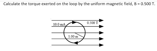 Calculate the torque exerted on the loop by the uniform magnetic field, B = 0.500 T.
10.0 mA
0.500 T
1.00 m
