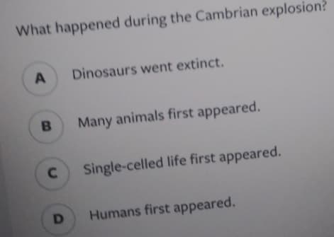What happened during the Cambrian explosion?
Dinosaurs went extinct.
Many animals first appeared.
Single-celled life first appeared.
Humans first appeared.
CI
DI
A.

