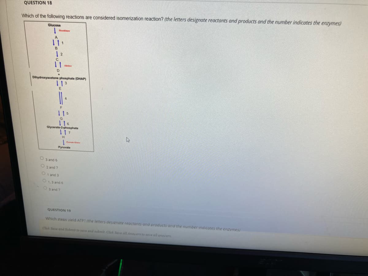 QUESTION 18
Which of the following reactions are considered isomerization reaction? (the letters designate reactants and products and the number indicates the enzymes)
Glucose
B
| 2
Dihydroxyacetone phosphate (DHAP)
1 13
E.
F
115
G
T16
Glycerate-2-phosphate
117
H.
Pyrv i
Pyruvate
O 3 and 6
O 2 and 7
O 1 and 3
01,3 and 6
O 3 and 7
QUESTION 19
Which steps vield ATP? (the letters designate reactants and products and the number indicates the enzymes)
Click Save and Submit to sace and submit. Cick Save All Anscers to save all ansrers
