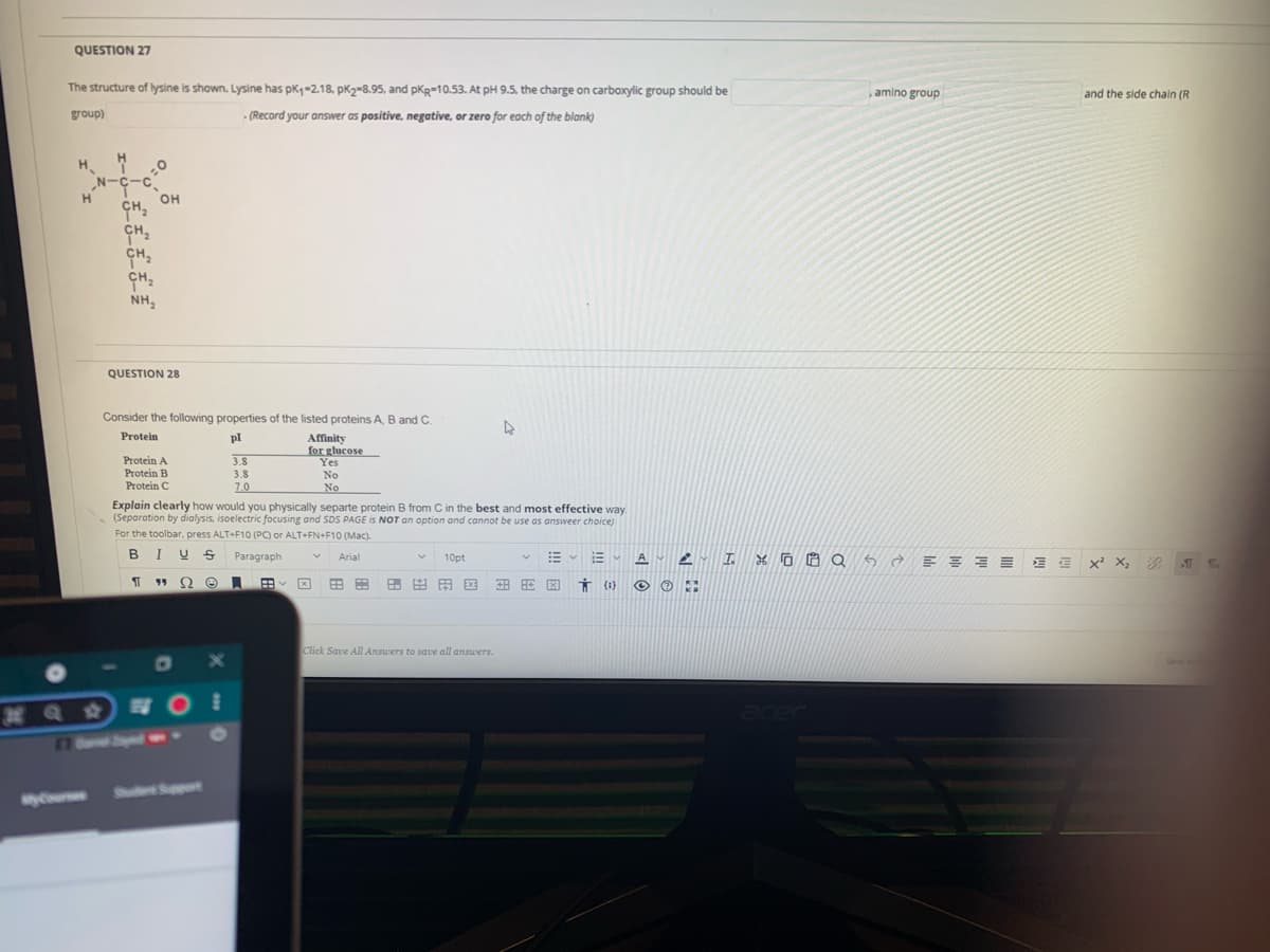 QUESTION 27
The structure of lysine is shown. Lysine has pk-2.18, pk2-8.95, and pkg-10.53. At pH 9.5, the charge on carboxylic group should be
,amino group
and the side chain (R
group)
- (Record your answer as positive, negative, or zero for each of the blank)
H.
H.
„N-C-c
он
NH,
QUESTION 28
Consider the following properties of the listed proteins A, B and C.
Protein
pl
Protein A
Protein B
Protein C
Affinity
for glucose
Yes
No
No
3.8
3.8
7.0
Explain clearly how would you physically separte protein B from C in the best and most effective way.
(Separation by dialysis, isoelectric focusing and SDS PAGE is NOT an option and cannot be use as answeer choice)
For the toolbar,. press ALT+F10 (PC) or ALT+FN+F10 (Mac).
BIUS
Paragraph
Arial
10pt
血x X
次
田田用区
Click Save All Answers to save all answers.
Save
acer
Sh St
yCourse
