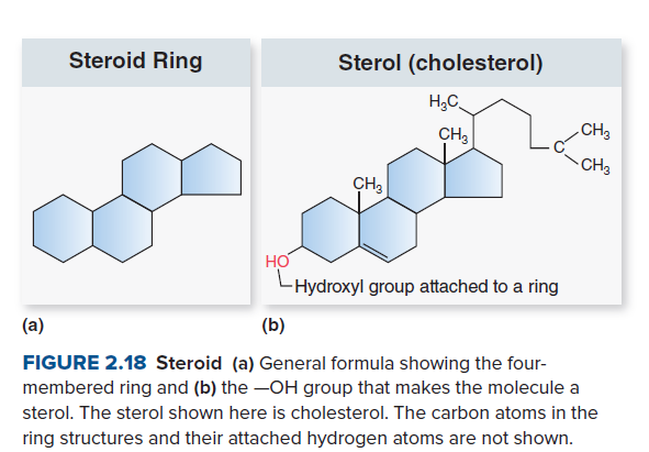 Steroid Ring
Sterol (cholesterol)
H;C
CH3
.CH3
CH3
CH3
HO
-Hydroxyl group attached to a ring
(а)
(b)
FIGURE 2.18 Steroid (a) General formula showing the four-
membered ring and (b) the -OH group that makes the molecule a
sterol. The sterol shown here is cholesterol. The carbon atoms in the
ring structures and their attached hydrogen atoms are not shown.
