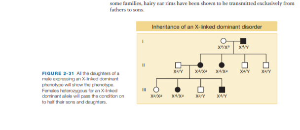 some families, hairy ecar rims have been shown to be transmitted exclusively from
fathers to sons.
Inheritance of an X-linked dominant disorder
XA/X
X4/X
X4/Y
FIGURE 2-31 AI the daughters of a
male expressing an X-Inked dominant
phenotype will show the phenotype.
Females heterozygous for an X-linked
dominant allele will pass the condition on
to half their sons and daughters.
II
XA/X
XA/Y
