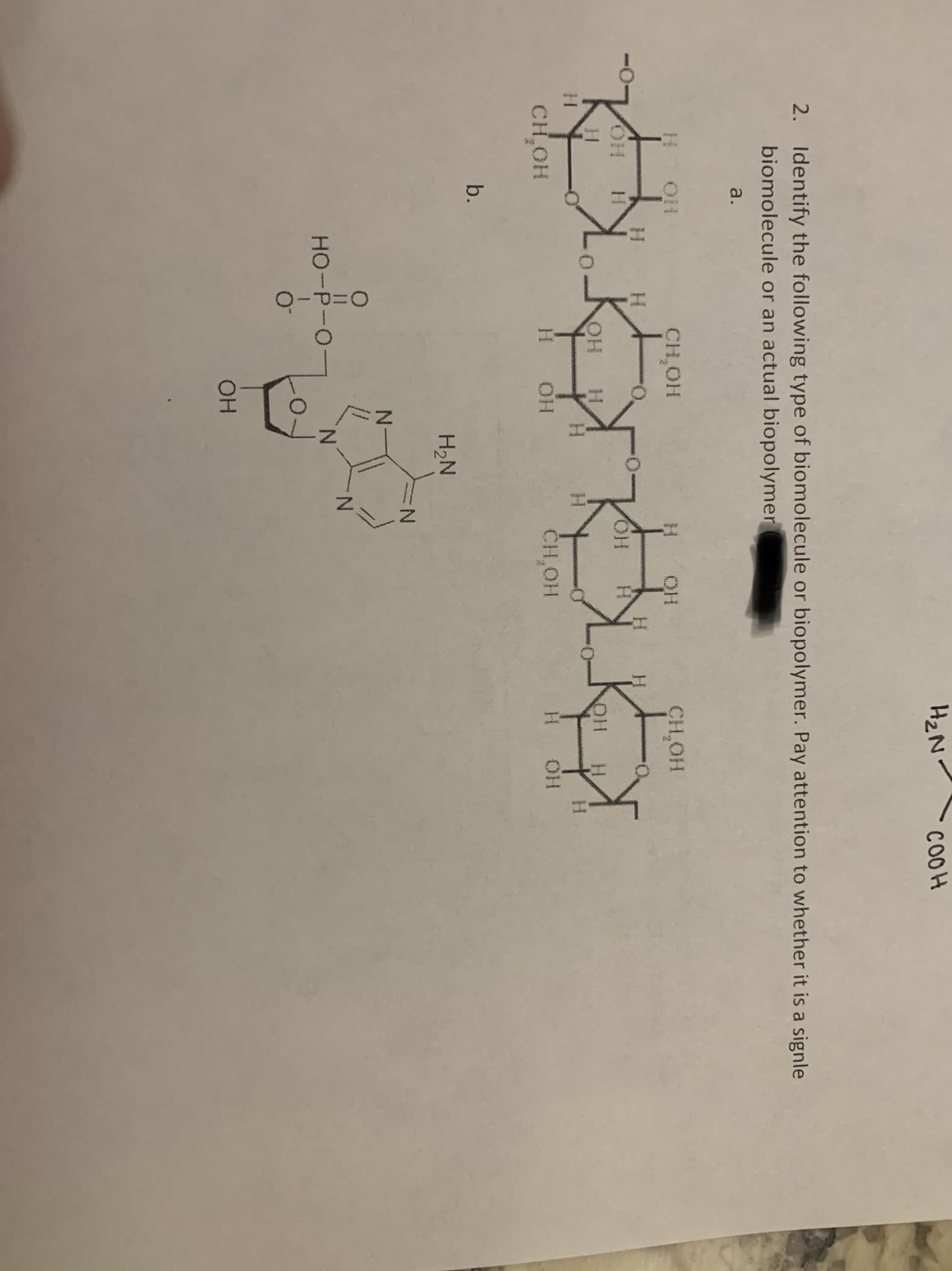 2. Identify the following type of biomolecule or biopolymer. Pay attention to whether it is a signle
biomolecule or an actual biopolymer
a.
H OH
CH OH
OH
CH,OH
H.
H.
OH
HO
H.
H.
H.
H.
CH,OH
CH,OH
b.
H2N
N:
N-
N.
HO-P-O
OH
