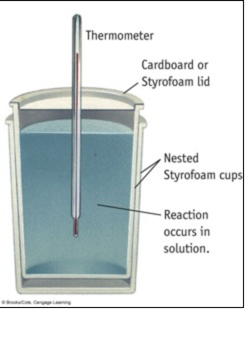 Thermometer
Cardboard or
Styrofoam lid
Nested
Styrofoam cups
Reaction
occurs in
solution.
