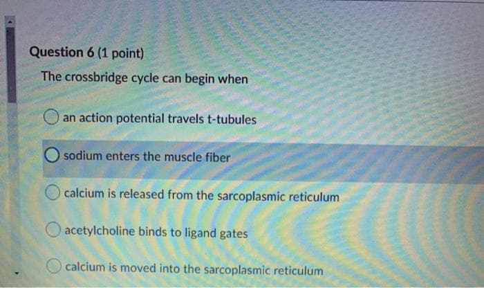 Question 6 (1 point)
The crossbridge cycle can begin when
an action potential travels t-tubules
O sodium enters the muscle fiber
calcium is released from the sarcoplasmic reticulum
O acetylcholine binds to ligand gates
calcium is moved into the sarcoplasmic reticulum
