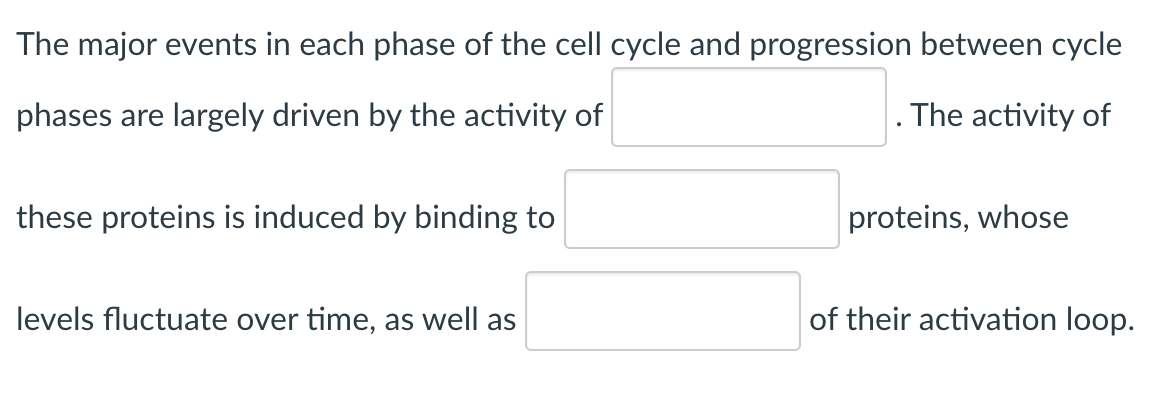 The major events in each phase of the cell cycle and progression between cycle
phases are largely driven by the activity of
these proteins is induced by binding to
levels fluctuate over time, as well as
. The activity of
proteins, whose
of their activation loop.