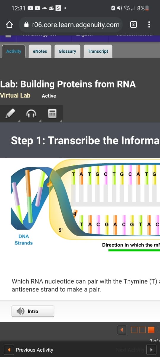 12:31 DD a A
A N ll 8%
r06.core.learn.edgenuity.com
8
Activity
eNotes
Glossary
Transcript
Lab: Building Proteins from RNA
Virtual Lab
Active
Step 1: Transcribe the Informa
TATG CI G C ATG
TAC GA
C GTAC
5'
DNA
Strands
Direction in which the mF
Which RNA nucleotide can pair with the Thymine (T) =
antisense strand to make a pair.
1) Intro
3 of
Previous Activity
Next Activity
