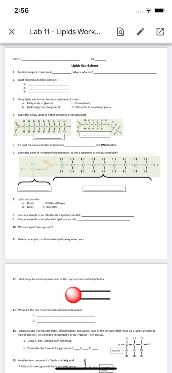 C-C-C-C-C-C-C-4 Y
2:56
Lab 11 - Lipids Work...
Name:
Pd:
Lipids Worksheet
1. Are lipids organic molecules?
Why or why not?
2. What elements do lipids contain?
1.
2.
3.
3. Many lipids are formed by the attachment of three:
a. Fatty acids to glycerol
b. Hydroxyl groups to glycerol
c. Cholesterols
d. Fatty acids to a carboxyl group
4. Label the below lipids as either saturated or unsaturated.
HH H H HH H H H
НННН НН
HHH
III IIII II
-C-
C-C-H
IH H H H HHH HH
HHHHH
5. Ifa lipid molecule contains at least one,
it is UNsaturated.
6. Label the parts of the below lipid molecule. Is this a saturated or unsaturated lipid?
H
H
H
H
C- C- C-c- c-c- c-c- c-H
H
H.
H
нн
7. Lipids are found in:
а. Вread
b. Meat
c. Oils/Fats/Waxes
d. Chocolate
8. Give an example of an UNsaturated lipid in your diet:
9. Give an example of an saturated lipid in your diet:
10. Why are lipids "waterproof"?
11. Give an example that illustrates lipids being waterproof.
12. Label the polar and non-polar ends of the representation of a lipid below:
13. What are the two main functions of lipids in humans?
14. Lipids include triglycerides (fats), phospholipids, and waxes. One of the key parts that make up a lipid is glycerol (a
type of alcohol). An alcohol is recognizable by its hydroxyl (-OH) groups.
HH
H
a. Draw a box around each OH group.
H-C-č -č-H
b. The molecular formula for glycerol is C H O
Glycerol
15. Another key component of lipids is a fatty acid.
A fatty acid is recognizable by its carboxyl groun.
hond
eroup
