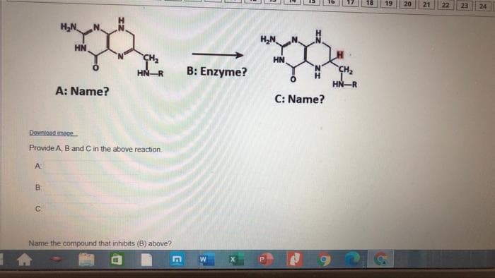 19
20
21
22
23
24
H,N
HN
CH,
HN
HN-R
B: Enzyme?
CH
HN-R
A: Name?
C: Name?
Download image
Provide A, B and C in the above reaction
A
B.
C.
Name the compound that inhibits (B) above?
