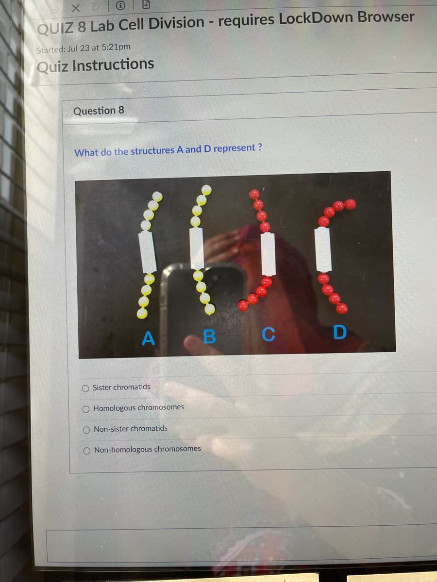 QUIZ 8 Lab Cell Division - requires LockDown Browser
Started: Jul 23 at 5:21pm
Quiz Instructions
Question 8
What do the structures A and D represent ?
A B
C
O Sister chromatids
Homologous chromosomes
O Non-sister chromatids
O Non-homologous chromosomes

