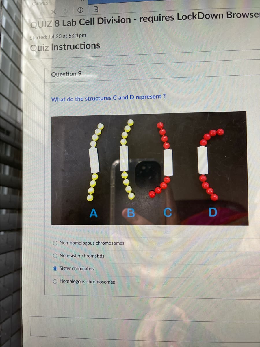 Canvas
QUIZ 8 Lab Cell Division - requires LockDown Browser
Started: Jul 23 at 5:21pm
Quiz Instructions
Question 9
What do the structures C and D represent ?
(B
O Non-homologous chromosomes
O Non-sister chromatids
O Sister chromatids
O Homologous chromosomes
