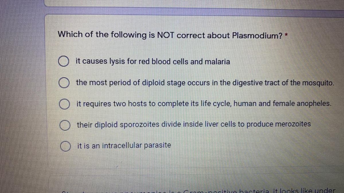 Which of the following is NOT correct about Plasmodium? *
O it causes lysis for red blood cells and malaria
the most period of diploid stage occurs in the digestive tract of the mosquito.
O it requires two hosts to complete its life cycle, human and female anopheles.
their diploid sporozoites divide inside liver cells to produce merozoites
it is an intracellular parasite
Grom-poritive bacteria it looks like under
