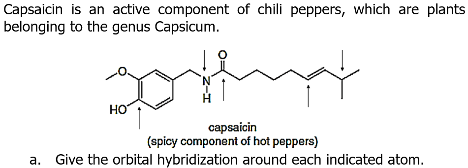 Capsaicin is an active component of chili peppers, which are plants
belonging to the genus Capsicum.
HO
саpsaicin
(spicy component of hot peppers)
а.
Give the orbital hybridization around each indicated atom.
