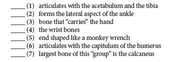 (1) articulates with the acetabulum and the tibia
(2) forms the lateral aspect of the ankle
(3) bone that "carries" the hand
(4) the wrist bones
(5) end shaped like a monkey wrench
(6) articulates with the capitulum of the humerus
(7) largest bone of this "group" is the calcaneus
