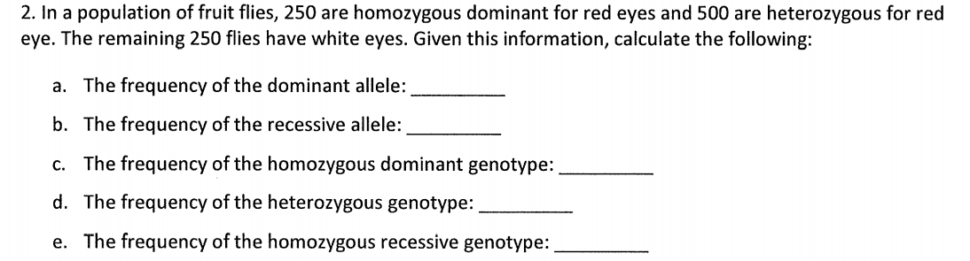 2. In a population of fruit flies, 250 are homozygous dominant for red eyes and 500 are heterozygous for red
eye. The remaining 250 flies have white eyes. Given this information, calculate the following:
a. The frequency of the dominant allele:
b. The frequency of the recessive allele:
c. The frequency of the homozygous dominant genotype:
d. The frequency of the heterozygous genotype:
e. The frequency of the homozygous recessive genotype:
