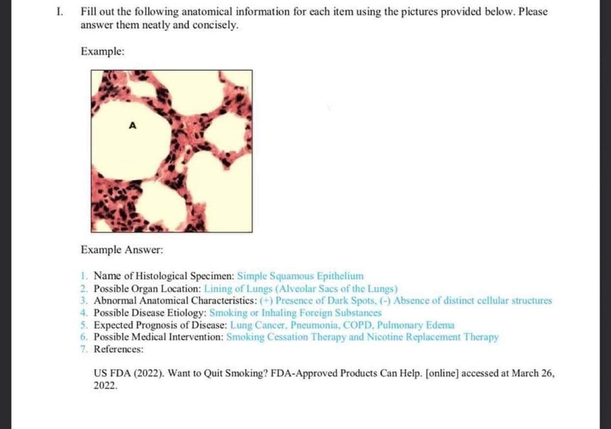 I.
Fill out the following anatomical information for each item using the pictures provided below. Please
answer them neatly and concisely.
Example:
Example Answer:
1. Name of Histological Specimen: Simple Squamous Epithelium
2. Possible Organ Location: Lining of Lungs (Alveolar Sacs of the Lungs)
3. Abnormal Anatomical Characteristics: (+) Presence of Dark Spots, (-) Absence of distinct cellular structures
4. Possible Disease Etiology: Smoking or Inhaling Foreign Substances
5. Expected Prognosis of Disease: Lung Cancer, Pneumonia, COPD, Pulmonary Edema
6. Possible Medical Intervention: Smoking Cessation Therapy and Nicotine Replacement Therapy
7. References:
US FDA (2022). Want to Quit Smoking? FDA-Approved Products Can Help. [online] accessed at March 26,
2022.
