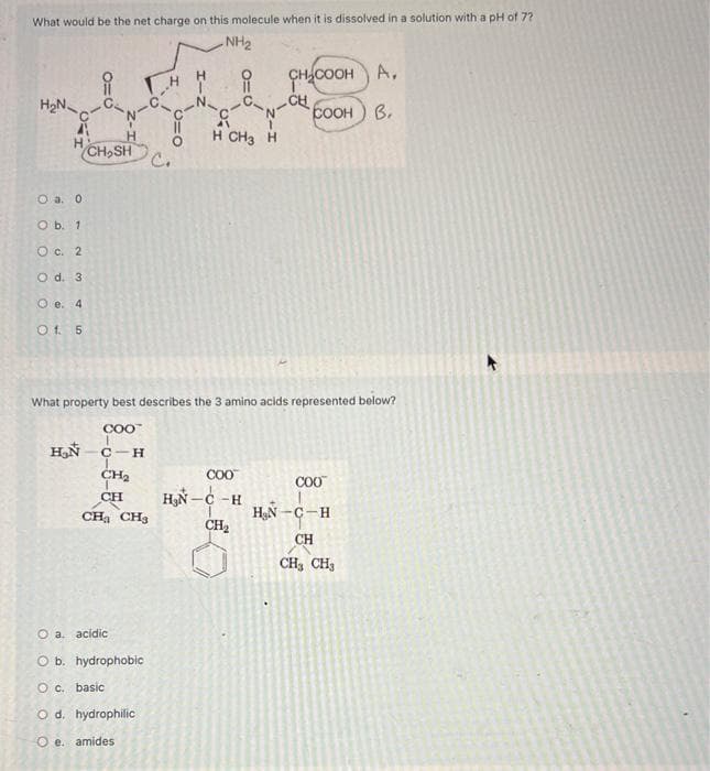What would be the net charge on this molecule when it is dissolved in a solution with a pH of 7?
NH₂
H₂N
(CH₂SH
O a. 0
O b. 1
O c. 2
O d. 3
O e. 4
O f. 5
C
H₂N
C.
CH₂
CH
CH₂ CH3
O a. acidic
O b. hydrophobic
O c. basic
O d. hydrophilic
Oe. amides
AV
H CH3 H
What property best describes the 3 amino acids represented below?
COO™
1
C-H
ең соон
CH
COO™
H₂N-C-H
CH₂
A.
соон ) В.
COO™
H₂N-C-H
CH
CH3 CH3