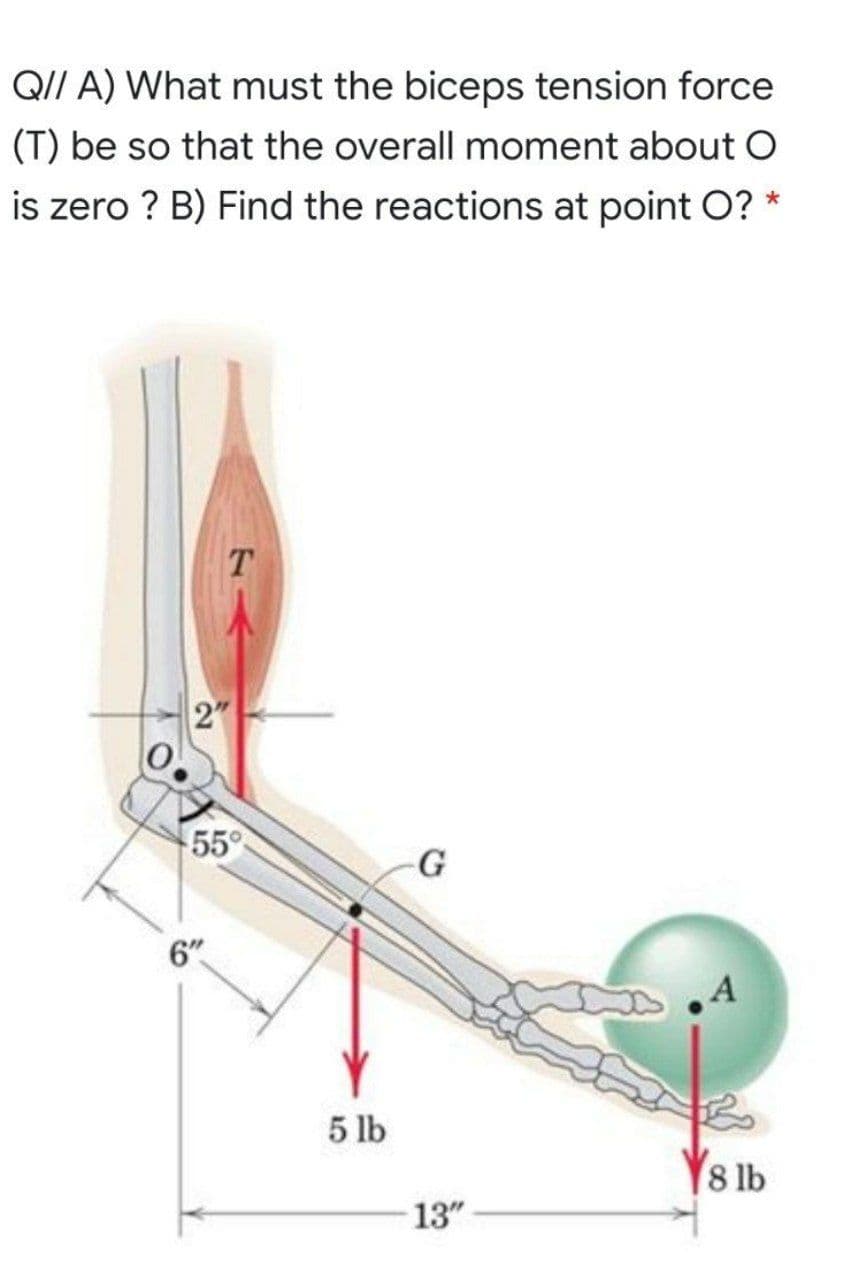 QII A) What must the biceps tension force
(T) be so that the overall moment about O
is zero ? B) Find the reactions at point O? *
