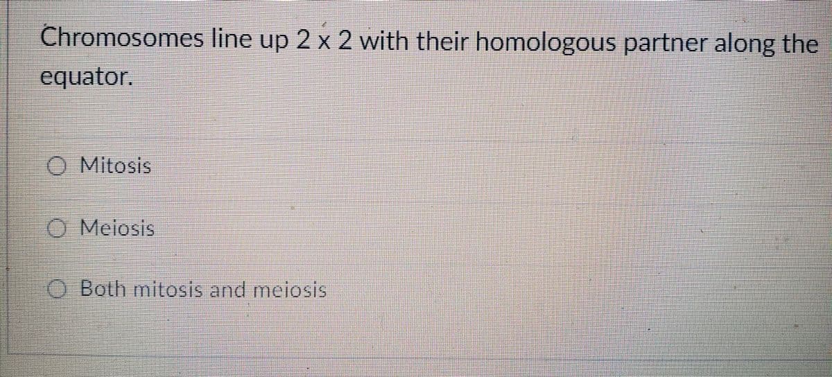 Chromosomes line up 2 x 2 with their homologous partner along the
equator.
O Mitosis
Meiosis
Both mitosis and meiosis