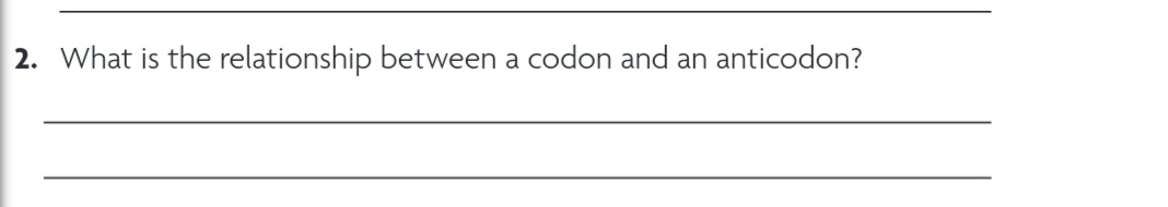 2. What is the relationship between a codon and an anticodon?