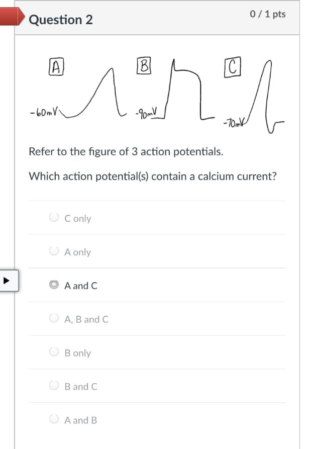 0 / 1 pts
Question 2
A
B
C
- 60mV
-0mV
-70m
Refer to the figure of 3 action potentials.
Which action potential(s) contain a calcium current?
O Conly
O
A only
A and C
O A, B and C
O B only
B and C
A and B
A
