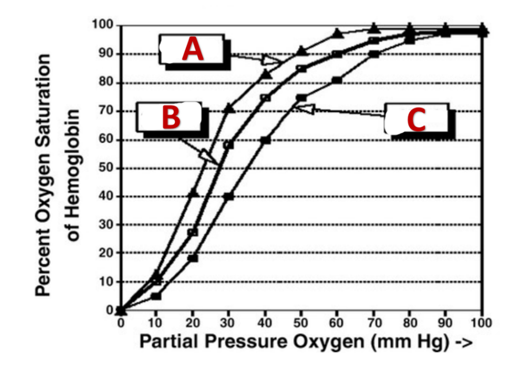 100
90
80
B
CT
70
60
50
40
30
20
10
10
20
50
70 80
30
40
60
90
100
Partial Pressure Oxygen (mm Hg) ->
Percent Oxygen Saturation
of Hemoglobin
