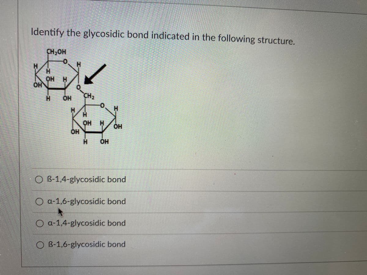Identify the glycosidic bond indicated in the following structure.
CH2OH
H
H.
OH H
O.
но
H.
OH
CH2
H.
H
H.
QH H
OH
H.
O B-1,4-glycosidic bond
O a-1,6-glycosidic bond
O a-1,4-glycosidic bond
O B-1,6-glycosidic bond
