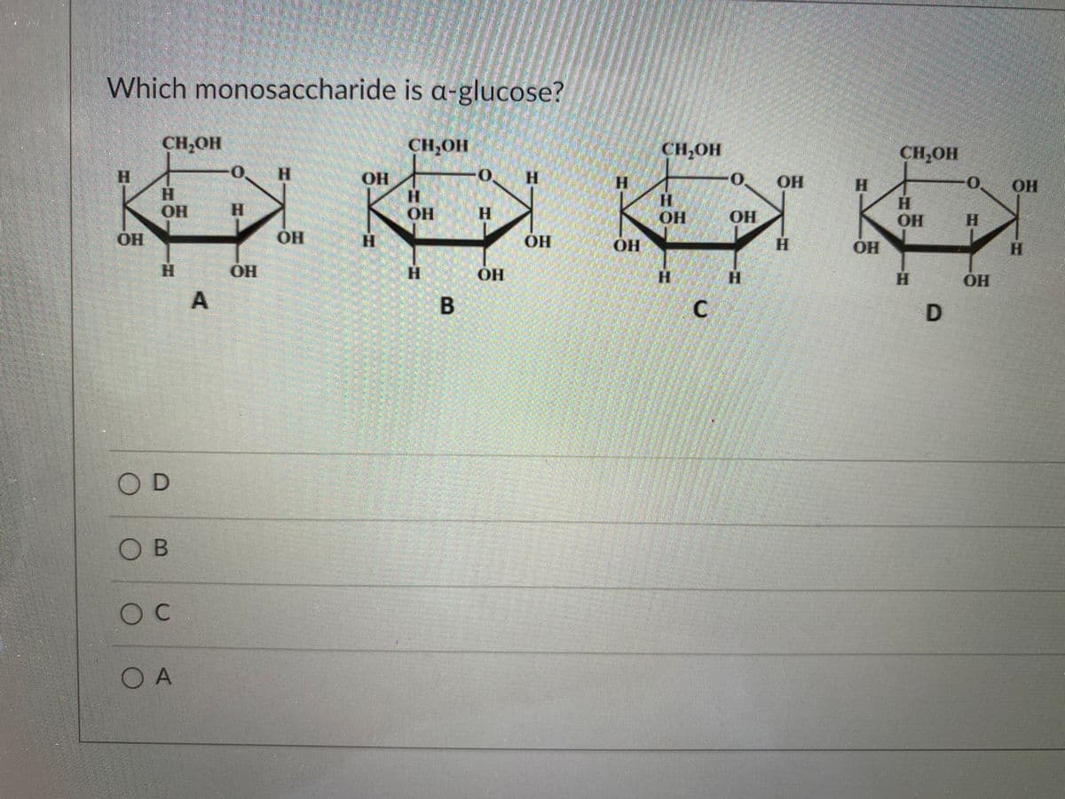 Which monosaccharide is a-glucose?
CH,OH
CH,OH
CH,OH
CH,OH
H.
O.
H.
H.
OH
H.
OH
H.
HOH
H
H.
HO.
HO.
H.
HO
H.
OH
OH
H.
HO.
H.
OH
HO
H.
OH
H.
H.
OH
H.
H.
H.
H.
в
OD
OB
C.
O A
A.
