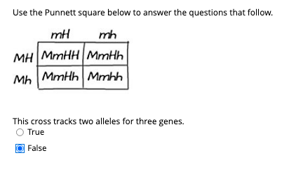 Use the Punnett square below to answer the questions that follow.
mH
mh
MH MMHHMMHH
Mh MmHh| Mmhh
This cross tracks two alleles for three genes.
True
False
