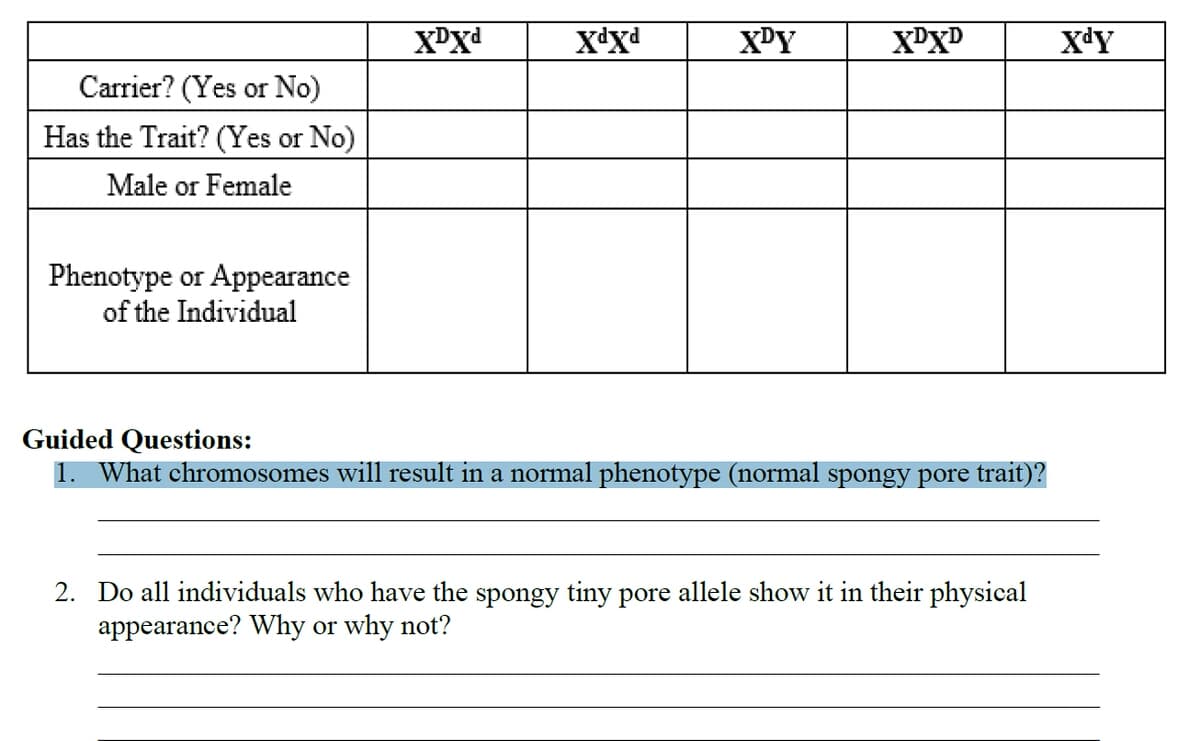 XPY
XDXD
XdY
Carrier? (Yes or No)
Has the Trait? (Yes or No)
Male or Female
Phenotype or Appearance
of the Individual
Guided Questions:
1. What chromosomes will result in a normal phenotype (normal spongy pore trait)?
2. Do all individuals who have the spongy tiny pore allele show it in their physical
appearance? Why or why not?
