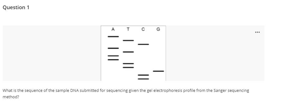 Question 1
A
G
What is the sequence of the sample DNA submitted for sequencing given the gel electrophoresis profile from the Sanger sequencing
method?
||
|
| |
||
