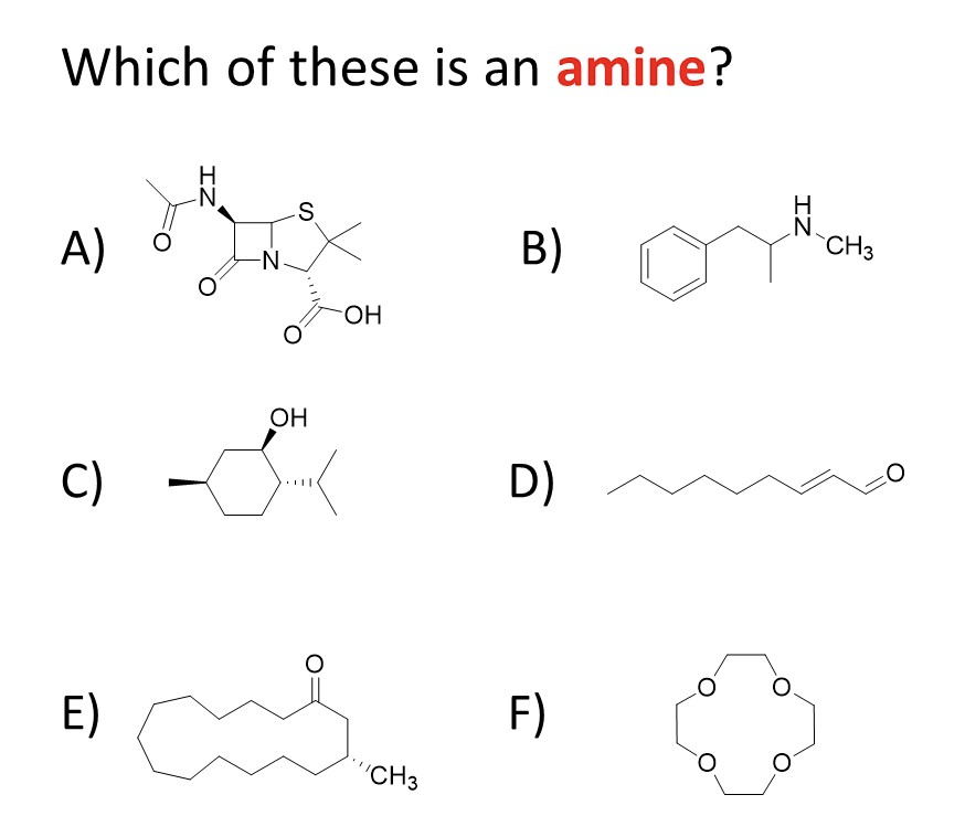 Which of these is an amine?
A)
B)
N.
CH3
N-
HO-
OH
C)
D)
E)
F)
"CH3
IZ
IZ

