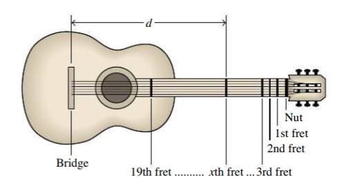 Nut
1st fret
2nd fret
Bridge
19th fret . . xth fret...3rd fret
