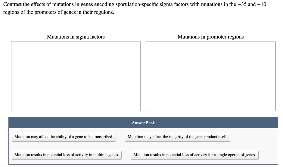 Contrast the effects of mutations in genes encoding sporulation-specific sigma factors with mutations in the –35 and –10
regions of the promoters of genes in their regulons.
Mutations in sigma factors
Mutations in promoter regions
Answer Bank
Mutation may affect the ability of a gene to be transcribed.
Mutation may affect the integrity of the gene product itself.
Mutation results in potential loss of activity in multiple genes.
Mutation results in potential loss of activity for a single operon of genes.
