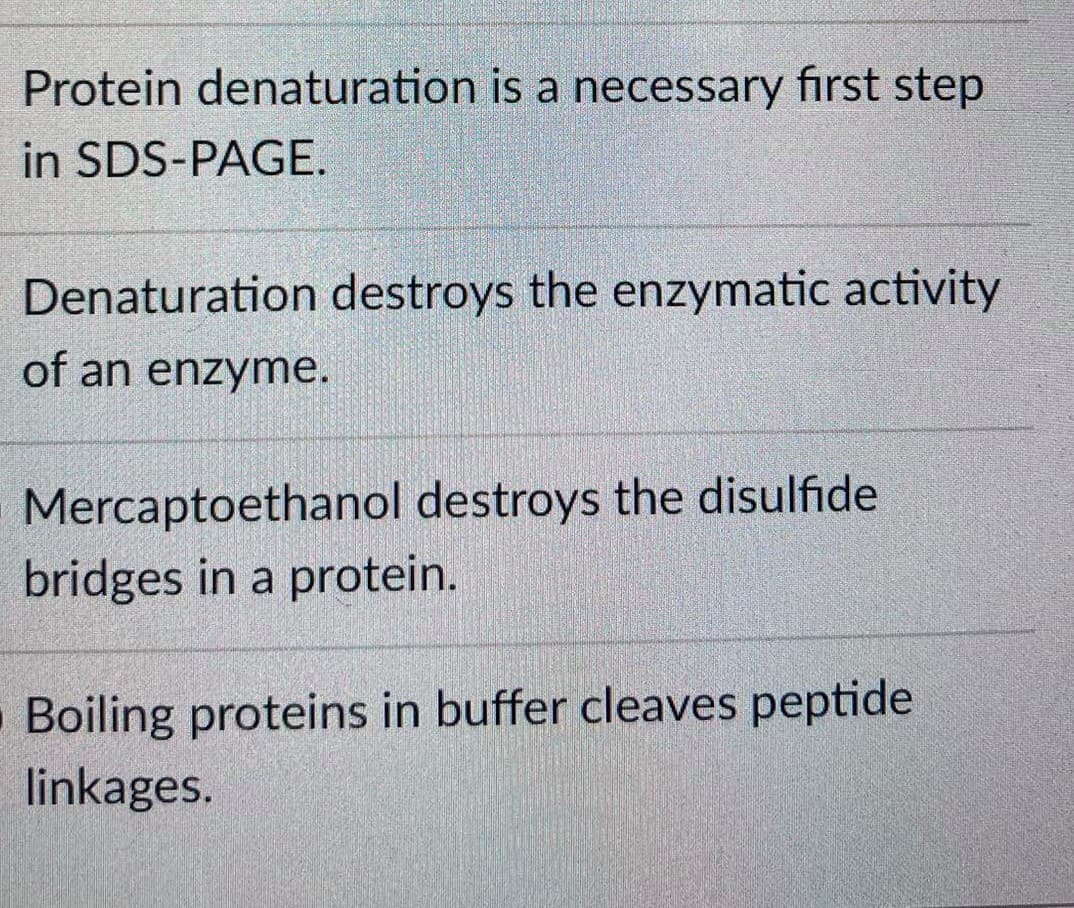 Protein denaturation is a necessary first step
in SDS-PAGE.
Denaturation destroys the enzymatic activity
of an enzyme.
Mercaptoethanol destroys the disulfide
bridges in a protein.
Boiling proteins in buffer cleaves peptide
linkages.
