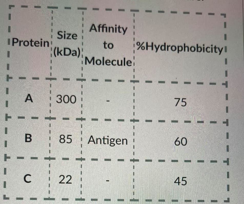 Affinity
Size
IProtein
%Hydrophobicity!
to
(kDa);
Molecule
A
300
75
В
85
Antigen
60
22
45
-.
--------
