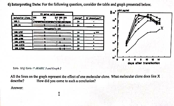 ) Interpreting Data: For the following question, consider the table and graph presented below.
B.
olecalar clome
cher
...
10.1
to
deye atter traneteotion
Tahle SEQ Tahte 1 ARABIC I and Graph ?
All the lines on the graph represent the effect of one molecular clone. What molecular clone does line X
describe?
How did you come to such a conclusion?
Answer:
I
