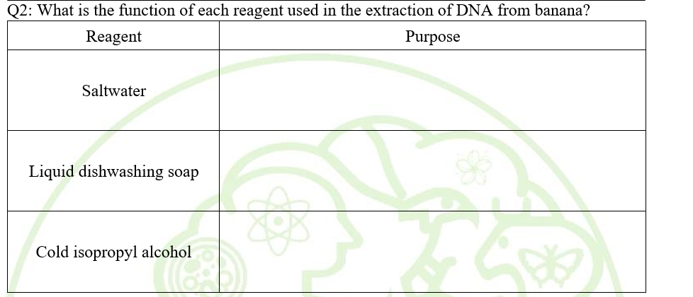 Q2: What is the function of each reagent used in the extraction of DNA from banana?
Reagent
Purpose
Saltwater
Liquid dishwashing soap
Cold isopropyl alcohol
