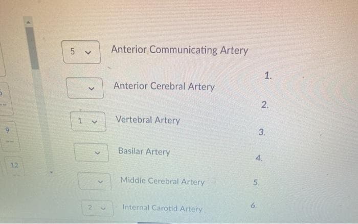 Anterior Communicating Artery
1.
Anterior Cerebral Artery
Vertebral Artery
3.
Basilar Artery
12
Middle Cerebral Artery
5.
6.
Internal Carotid Artery
2.
4.
