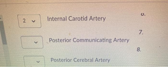O.
Internal Carotid Artery
7.
Posterior Communicating Artery
8.
Posterior Cerebral Artery
<.
2.
