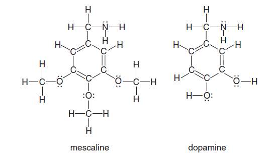 H-C-N-H
H-C-N-H
H-
H
H
Ö-C-H
H-
H
:0:
H-O:
H-C-H
mescaline
dopamine
:Z-I O
I-
I-U-I
