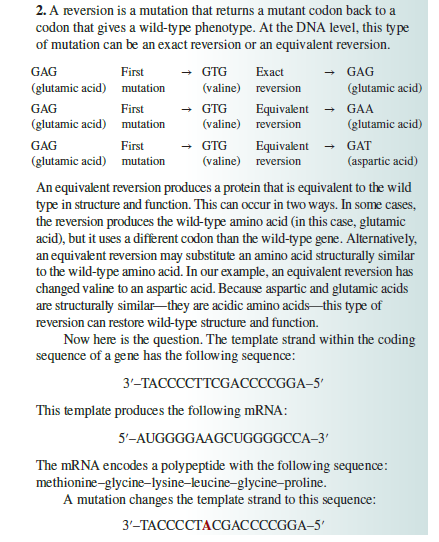 2. A reversion is a mutation that returns a mutant codon back to a
codon that gives a wild-type phenotype. At the DNA level, this type
of mutation can be an exact reversion or an equivalent reversion.
GAG
First
GTG
Exact
GAG
(glutamic acid) mutation
(valine) reversion
(glutamic acid)
GAG
- GTG
First
Equivalent
(valine) reversion
GAA
(glutamic acid) mutation
(glutamic acid)
GAG
First
GTG
Equivalent - GAT
(glutamic acid) mutation
(valine) reversion
(aspartic acid)
An equivalent reversion produces a protein that is equivalent to the wild
type in structure and function. This can occur in two ways. In some cases,
the reversion produces the wild-type amino acid (in this case, glutamic
acid), but it uses a different codon than the wild-type gene. Alternatively.
an equivalent reversion may substitute an amino acid structurally similar
to the wild-type amino acid. In our example, an equivalent reversion has
changed valine to an aspartic acid. Because aspartic and glutamic acids
are structurally similar-they are acidic amino acids-this type of
reversion can restore wild-type structure and function.
Now here is the question. The template strand within the coding
sequence of a gene has the following sequence:
3'-TACCCCTTCGACCCCGGA-5'
This template produces the following mRNA:
5'-AUGGGGAAGCUGGGGCCA–3'
The MRNA encodes a polypeptide with the following sequence:
methionine-glycine-lysine–leucine-glycine-proline.
A mutation changes the template strand to this sequence:
3'-TACCCCTACGACCCCGGA-5'
