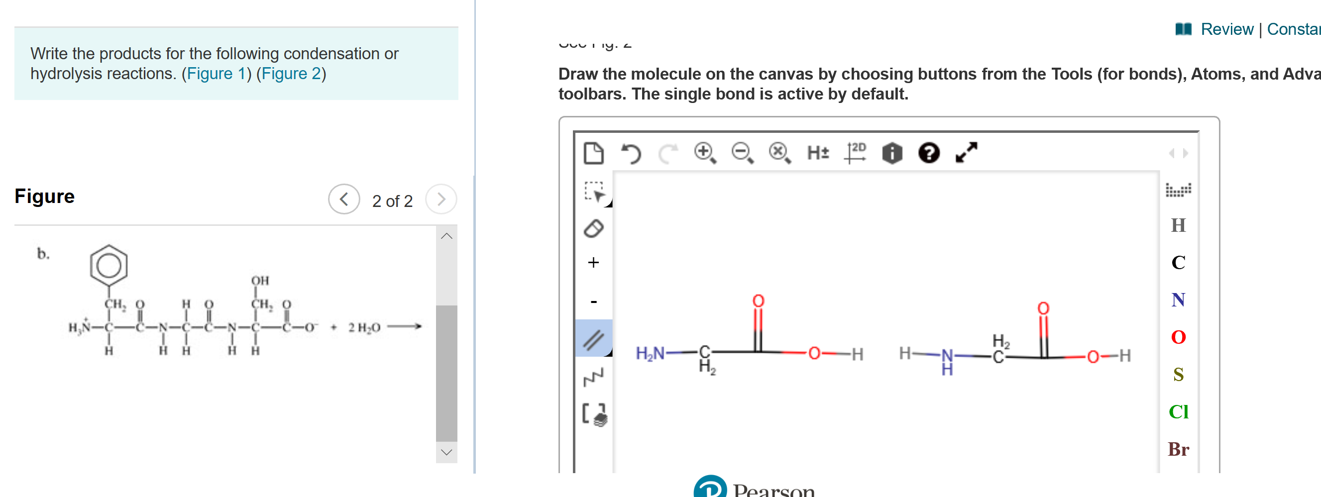 I Review | Constar
Write the products for the following condensation or
hydrolysis reactions. (Figure 1) (Figure 2)
Draw the molecule on the canvas by choosing buttons from the Tools (for bonds), Atoms, and Adva
toolbars. The single bond is active by default.
Figure
く
2 of 2
н
b.
Он
сн, о
ҫн, о
+ 2 H;0
-C-
H-N-
На
нн
H,N-
-0-H
[
CI
Br
Pearson
