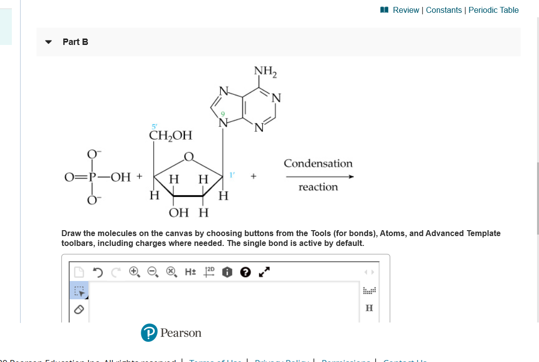 I Review | Constants | Periodic Table
Part B
NH2
'N.
CH-ОН
Condensation
ОН +
Н
Н
reaction
Н
Н
ОН Н
Draw the molecules on the canvas by choosing buttons from the Tools (for bonds), Atoms, and Advanced Template
toolbars, including charges where needed. The single bond is active by default.
НЕ
120
н
P Pearson
