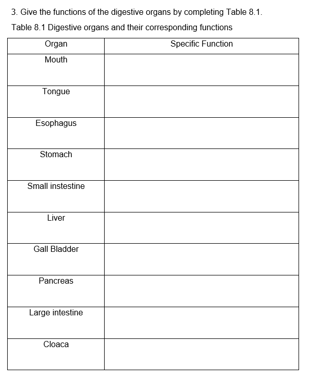 3. Give the functions of the digestive organs by completing Table 8.1.
Table 8.1 Digestive organs and their corresponding functions
Organ
Specific Function
Mouth
Tongue
Esophagus
Stomach
Small instestine
Liver
Gall Bladder
Pancreas
Large intestine
Cloaca