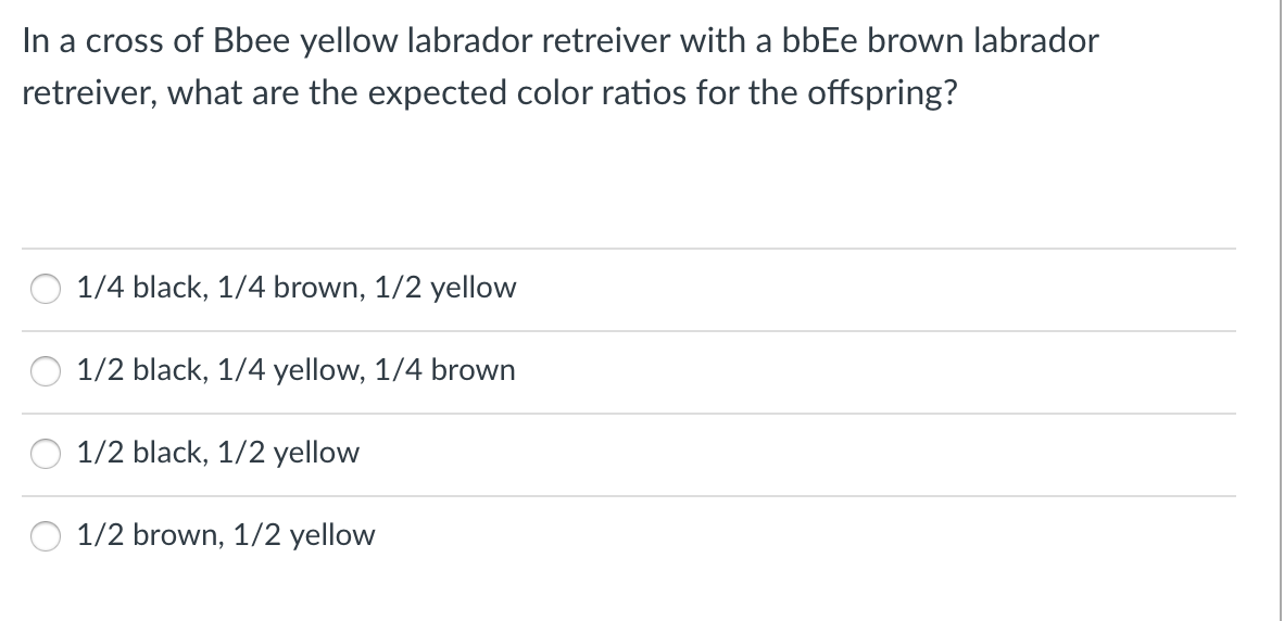 In a cross of Bbee yellow labrador retreiver with a bbEe brown labrador
retreiver, what are the expected color ratios for the offspring?
1/4 black, 1/4 brown, 1/2 yellow
1/2 black, 1/4 yellow, 1/4 brown
1/2 black, 1/2 yellow
1/2 brown, 1/2 yellow